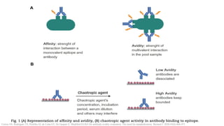 Screening and Diagnosis of Congenital infection 14.pptx