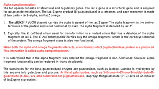 Screening and selection of recombinants | PDF