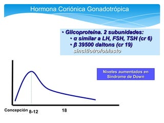 8-12Concepción 18
• Glicoproteína. 2 subunidades:
• α similar a LH, FSH, TSH (cr 6)
• β 39500 daltons (cr 19)
sincitiotrof...