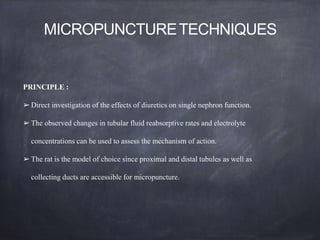 MICROPUNCTURETECHNIQUES
PRINCIPLE :
➢ Direct investigation of the effects of diuretics on single nephron function.
➢ The observed changes in tubular fluid reabsorptive rates and electrolyte
concentrations can be used to assess the mechanism of action.
➢ The rat is the model of choice since proximal and distal tubules as well as
collecting ducts are accessible for micropuncture.
 