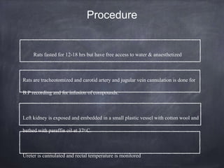 Procedure
Rats fasted for 12-18 hrs but have free access to water & anaesthetized
Rats are tracheotomized and carotid artery and jugular vein cannulation is done for
B.P recording and for infusion of compounds.
Left kidney is exposed and embedded in a small plastic vessel with cotton wool and
bathed with paraffin oil at 37o C.
Ureter is cannulated and rectal temperature is monitored
 