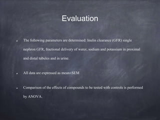 Evaluation
The following parameters are determined: Inulin clearance (GFR) single
nephron GFR, fractional delivery of water, sodium and potassium in proximal
and distal tubules and in urine.
All data are expressed as mean±SEM
Comparison of the effects of compounds to be tested with controls is performed
by ANOVA.
 