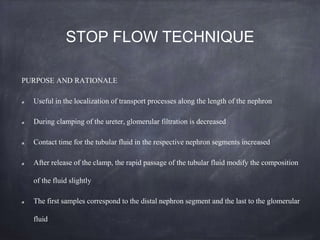 STOP FLOW TECHNIQUE
PURPOSE AND RATIONALE
Useful in the localization of transport processes along the length of the nephron
During clamping of the ureter, glomerular filtration is decreased
Contact time for the tubular fluid in the respective nephron segments increased
After release of the clamp, the rapid passage of the tubular fluid modify the composition
of the fluid slightly
The first samples correspond to the distal nephron segment and the last to the glomerular
fluid
 