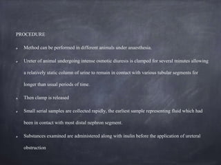 PROCEDURE
Method can be performed in different animals under anaesthesia.
Ureter of animal undergoing intense osmotic diuresis is clamped for several minutes allowing
a relatively static column of urine to remain in contact with various tubular segments for
longer than usual periods of time.
Then clamp is released
Small serial samples are collected rapidly, the earliest sample representing fluid which had
been in contact with most distal nephron segment.
Substances examined are administered along with inulin before the application of ureteral
obstruction
 