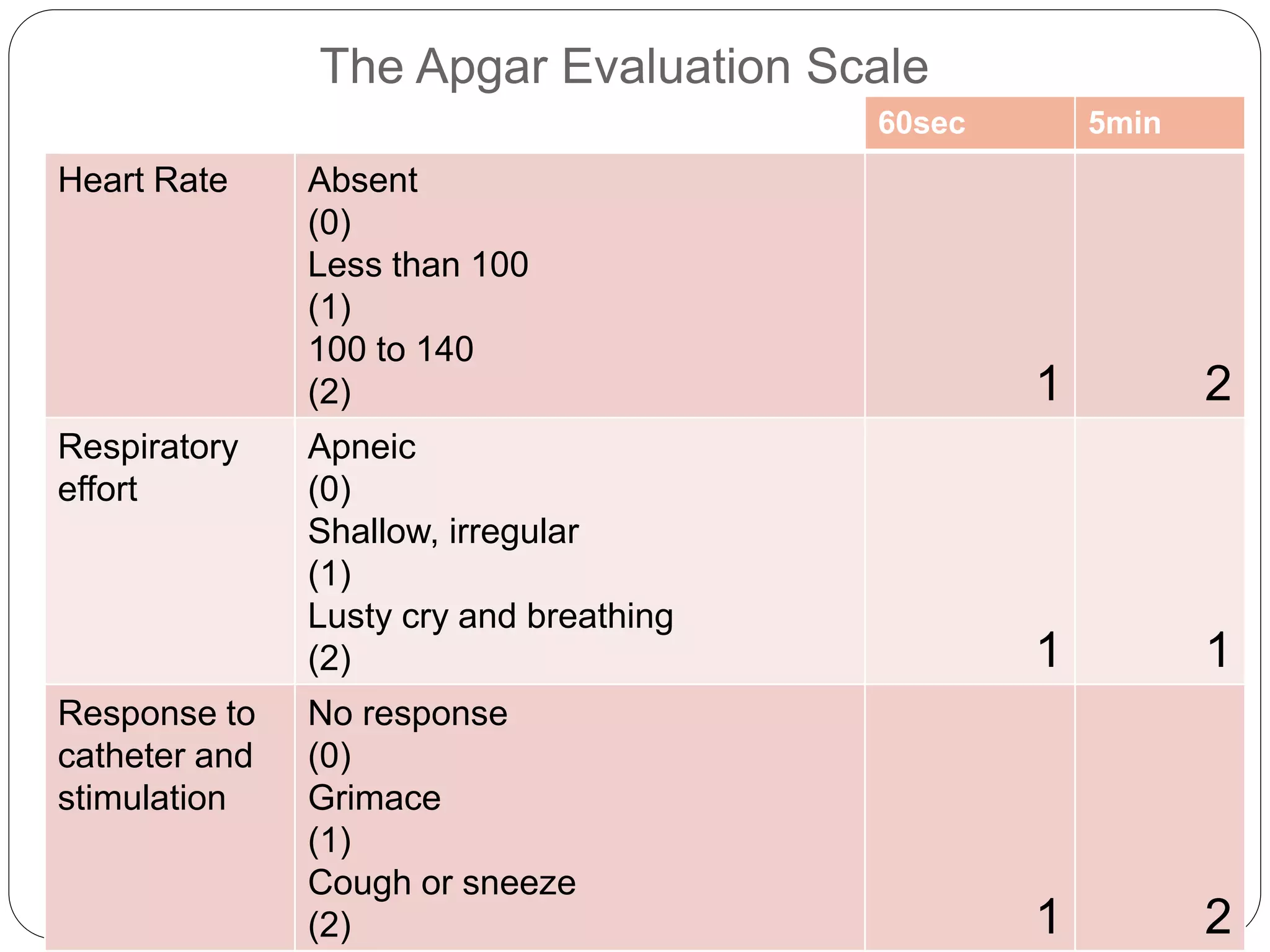 Screening, Identification, and Assessment.pptx