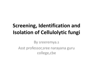 Screening, Identification and
Isolation of Cellulolytic fungi
By sreeremya.s
Asst professor,sree narayana guru
college,cbe
 