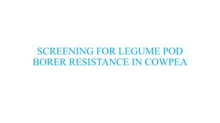 SCREENING FOR LEGUME POD
BORER RESISTANCE IN COWPEA
 