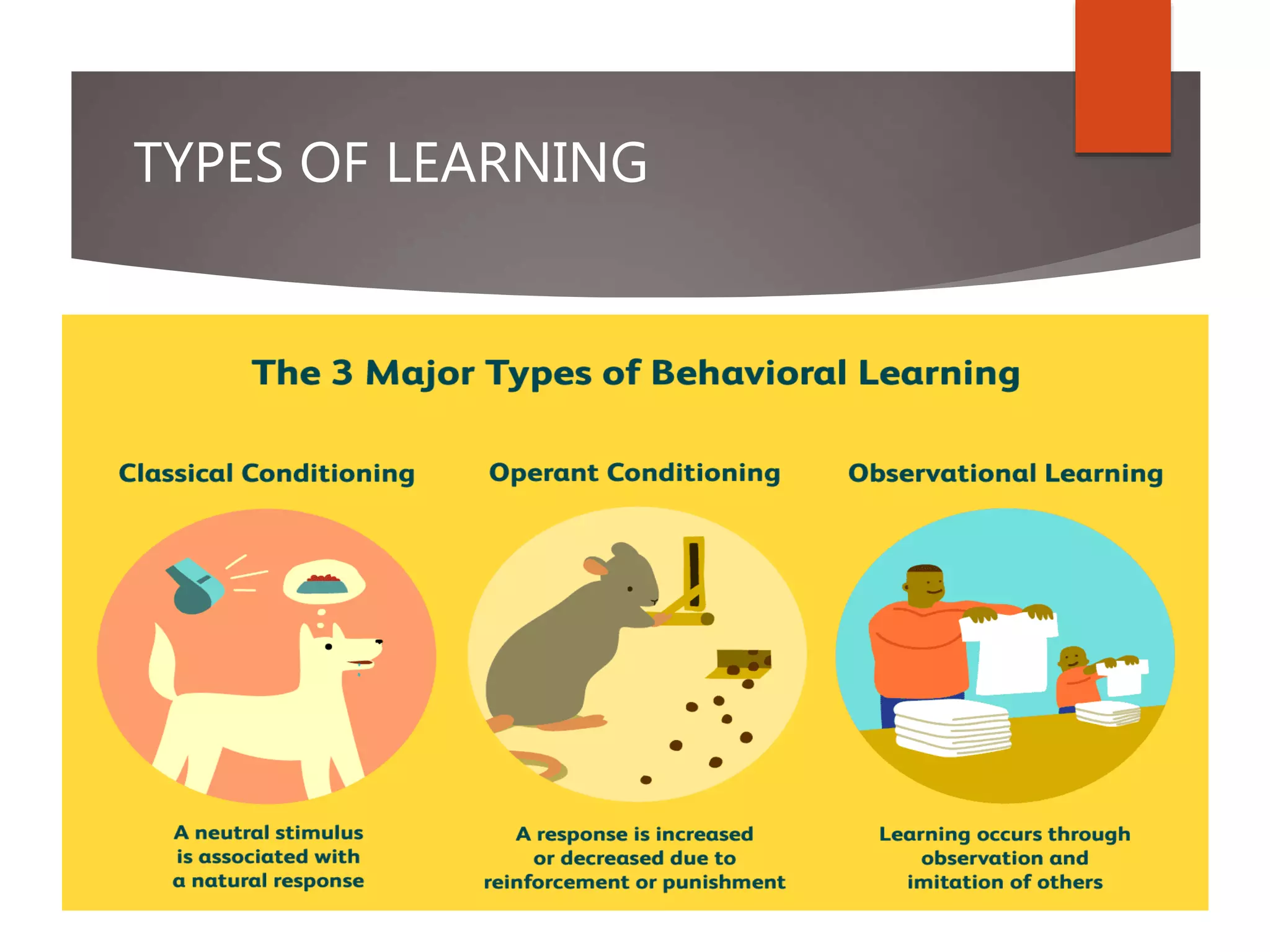TYPES OF LEARNING
 