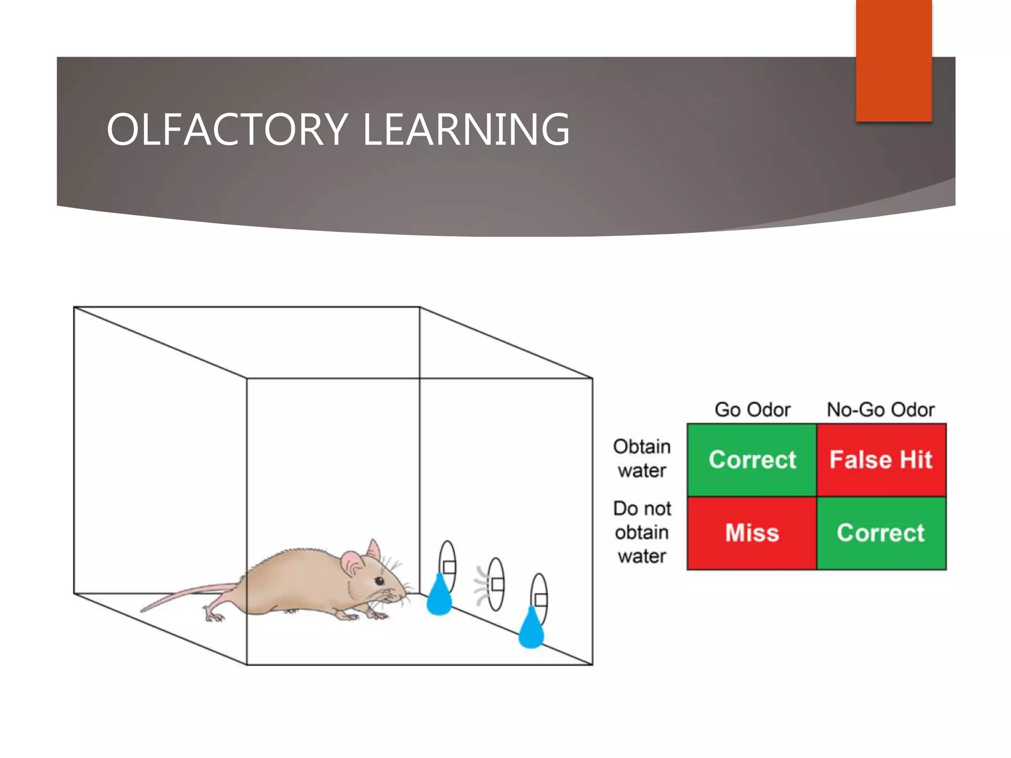 OLFACTORY LEARNING
 