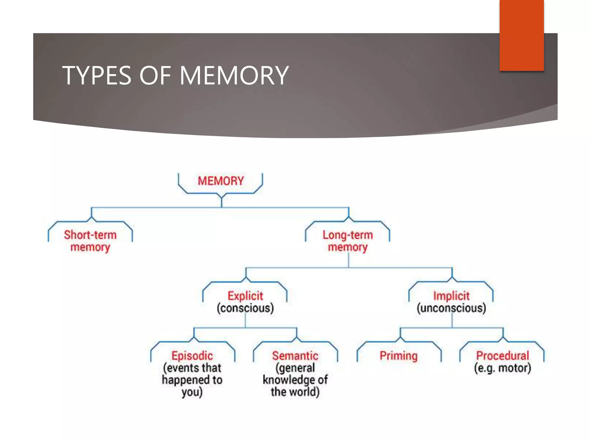 TYPES OF MEMORY
 