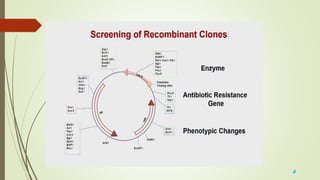 Screening Methods Ii Notes Screening method | PPTX