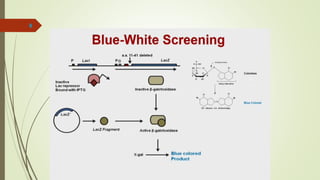 Screening Methods Ii Notes Screening method | PPTX