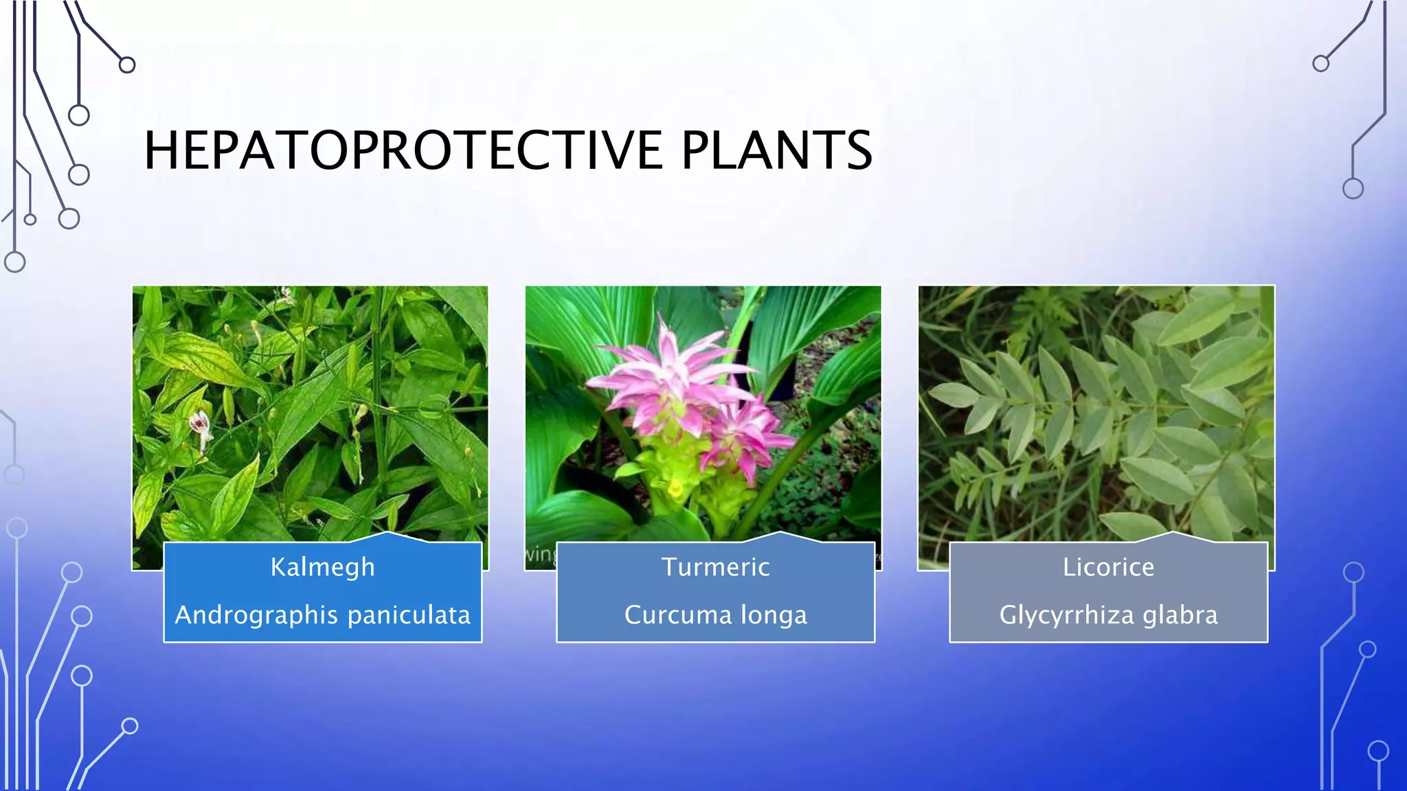 Screening method of herbal drugs & formulation | PPTX