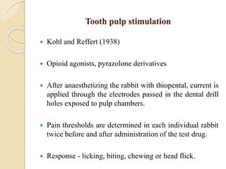 Tooth pulp stimulation
 Kohl and Reffert (1938)
 Opioid agonists, pyrazolone derivatives
 After anaesthetizing the rabbit with thiopental, current is
applied through the electrodes passed in the dental drill
holes exposed to pulp chambers.
 Pain thresholds are determined in each individual rabbit
twice before and after administration of the test drug.
 Response - licking, biting, chewing or head flick.
 