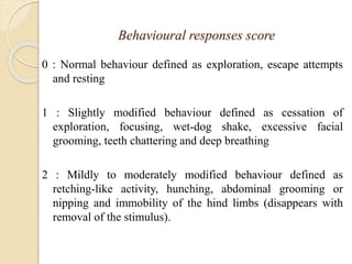 Behavioural responses score
0 : Normal behaviour defined as exploration, escape attempts
and resting
1 : Slightly modified behaviour defined as cessation of
exploration, focusing, wet-dog shake, excessive facial
grooming, teeth chattering and deep breathing
2 : Mildly to moderately modified behaviour defined as
retching-like activity, hunching, abdominal grooming or
nipping and immobility of the hind limbs (disappears with
removal of the stimulus).
 
