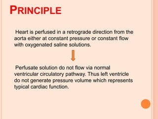 PRINCIPLE
Heart is perfused in a retrograde direction from the
aorta either at constant pressure or constant flow
with oxygenated saline solutions.
Perfusate solution do not flow via normal
ventricular circulatory pathway. Thus left ventricle
do not generate pressure volume which represents
typical cardiac function.
 