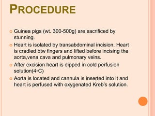 PROCEDURE
 Guinea pigs (wt. 300-500g) are sacrificed by
stunning.
 Heart is isolated by transabdominal incision. Heart
is cradled btw fingers and lifted before incising the
aorta,vena cava and pulmonary veins.
 After excision heart is dipped in cold perfusion
solution(4◦C)
 Aorta is located and cannula is inserted into it and
heart is perfused with oxygenated Kreb’s solution.
 