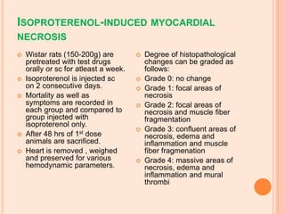 ISOPROTERENOL-INDUCED MYOCARDIAL
NECROSIS
 Wistar rats (150-200g) are
pretreated with test drugs
orally or sc for atleast a week.
 Isoproterenol is injected sc
on 2 consecutive days.
 Mortality as well as
symptoms are recorded in
each group and compared to
group injected with
isoproterenol only.
 After 48 hrs of 1st dose
animals are sacrificed.
 Heart is removed , weighed
and preserved for various
hemodynamic parameters.
 Degree of histopathological
changes can be graded as
follows:
 Grade 0: no change
 Grade 1: focal areas of
necrosis
 Grade 2: focal areas of
necrosis and muscle fiber
fragmentation
 Grade 3: confluent areas of
necrosis, edema and
inflammation and muscle
fiber fragmenation
 Grade 4: massive areas of
necrosis, edema and
inflammation and mural
thrombi
 