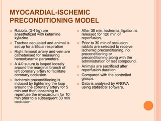 MYOCARDIAL-ISCHEMIC
PRECONDITIONING MODEL
 Rabbits (3-4 kg) are
anesthetized with ketamine
xylazine.
 Trachea canulated and animal is
set up for artificial respiration
 Right femoral artery and vein are
catheterised for measuring
hemodynamic parameters.
 A 4-0 suture is looped loosely
around the marginal branch of
left coronary artery to facilitate
coronary occlusion.
 Ischemic preconditioning is
induced by tightening the loop
around the coronary artery for 5
min and then loosening to
reperfuse the myocardium for 10
min prior to a subsequent 30 min
occlusion.
 After 30 min. ischemia, ligation is
released for 120 min of
reperfusion.
 Prior to 30 min of occlusion
rabbits are selected to receive
ischemic preconditioning, no
preconditioning or
preconditioning along with the
administration of test compound.
 Animals are sacrificed after
reperfusion duration.
 Compared with the controlled
groups.
 Data is analysed by ANOVA
using statistical software.
 
