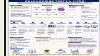 Pharmacological and Toxicological Screening Methods for Cancer Detection and Research
