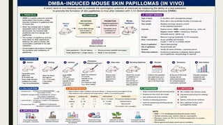 Pharmacological and Toxicological Screening Methods for Cancer Detection and Research