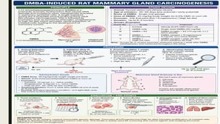 Pharmacological and Toxicological Screening Methods for Cancer Detection and Research