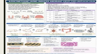 Pharmacological and Toxicological Screening Methods for Cancer Detection and Research