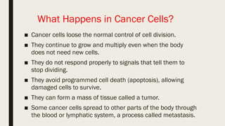 What Happens in Cancer Cells?
■ Cancer cells loose the normal control of cell division.
■ They continue to grow and multiply even when the body
does not need new cells.
■ They do not respond properly to signals that tell them to
stop dividing.
■ They avoid programmed cell death (apoptosis), allowing
damaged cells to survive.
■ They can form a mass of tissue called a tumor.
■ Some cancer cells spread to other parts of the body through
the blood or lymphatic system, a process called metastasis.
 