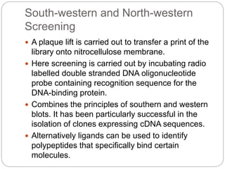 Screening Methods Ii Notes Screening methods for cloned libraries | PPTX