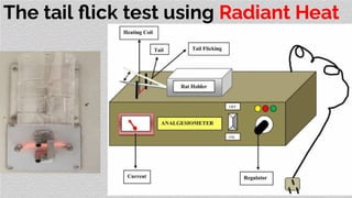 The tail ﬂick test using Radiant Heat
 