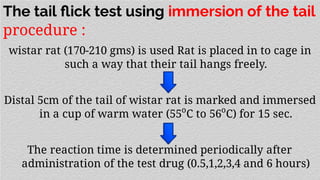 The tail ﬂick test using immersion of the tail
procedure :
wistar rat (170-210 gms) is used Rat is placed in to cage in
such a way that their tail hangs freely.
Distal 5cm of the tail of wistar rat is marked and immersed
in a cup of warm water (55o
C to 56o
C) for 15 sec.
The reaction time is determined periodically after
administration of the test drug (0.5,1,2,3,4 and 6 hours)
 