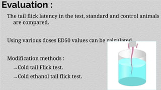 Evaluation :
The tail flick latency in the test, standard and control animals
are compared.
Using various doses ED50 values can be calculated.
Modification methods :
→Cold tail Flick test.
→Cold ethanol tail flick test.
 