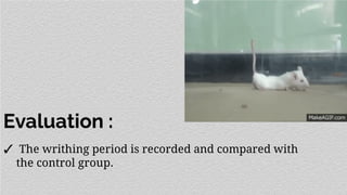 Evaluation :
✓ The writhing period is recorded and compared with
the control group.
 