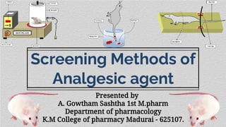 Screening Methods of
Analgesic agent
Presented by
A. Gowtham Sashtha 1st M.pharm
Department of pharmacology
K.M College of pharmacy Madurai - 625107.
 