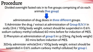 Divided overnight fasted rats in to five groups comprising of six each
animals (five group)
administration of drug doses in three different groups.
1) Administer the drug / extract at administration of Group lll,lV,V in
orally (2ml / 100g body weight, extract should be suspended in 0.6%
sodium carboxy methyl cellulose) 60 mins before for induction of MES.
2) Phenytoin at administration of group ll in i.p (25mg /kg body weight)
30 mins before induction of MES.
3)Only administer vehicle(2ml / 100g body weight, extract should be
suspended in 0.6% sodium carboxy methyl cellulose) for group l.
Procedure
 