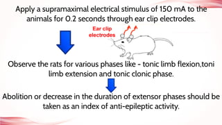 Apply a supramaximal electrical stimulus of 150 mA to the
animals for 0.2 seconds through ear clip electrodes.
Observe the rats for various phases like - tonic limb flexion,toni
limb extension and tonic clonic phase.
Abolition or decrease in the duration of extensor phases should be
taken as an index of anti-epileptic activity.
 
