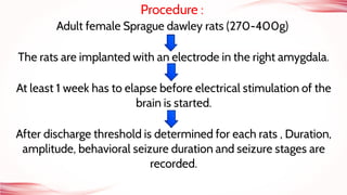 Procedure :
Adult female Sprague dawley rats (270-400g)
The rats are implanted with an electrode in the right amygdala.
At least 1 week has to elapse before electrical stimulation of the
brain is started.
After discharge threshold is determined for each rats , Duration,
amplitude, behavioral seizure duration and seizure stages are
recorded.
 
