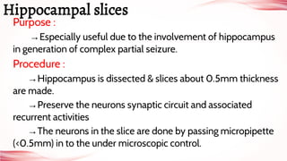 Purpose :
→Especially useful due to the involvement of hippocampus
in generation of complex partial seizure.
Procedure :
→Hippocampus is dissected & slices about 0.5mm thickness
are made.
→Preserve the neurons synaptic circuit and associated
recurrent activities
→The neurons in the slice are done by passing micropipette
(<0.5mm) in to the under microscopic control.
Hippocampal slices
 