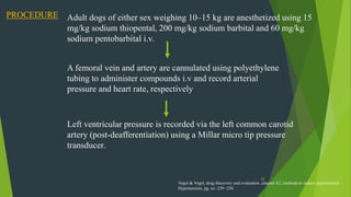 30
PROCEDURE Adult dogs of either sex weighing 10–15 kg are anesthetized using 15
mg/kg sodium thiopental, 200 mg/kg sodium barbital and 60 mg/kg
sodium pentobarbital i.v.
A femoral vein and artery are cannulated using polyethylene
tubing to administer compounds i.v and record arterial
pressure and heart rate, respectively
Left ventricular pressure is recorded via the left common carotid
artery (post-deafferentiation) using a Millar micro tip pressure
transducer.
Vogel & Vogel, drug discovery and evaluation ,chapter A2, methods to induce experimental
Hypertension, pg. no -239 -250
 
