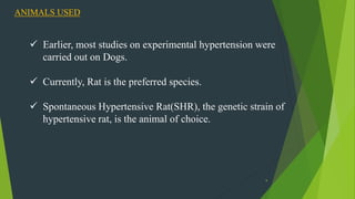 9
ANIMALS USED
 Earlier, most studies on experimental hypertension were
carried out on Dogs.
 Currently, Rat is the preferred species.
 Spontaneous Hypertensive Rat(SHR), the genetic strain of
hypertensive rat, is the animal of choice.
 