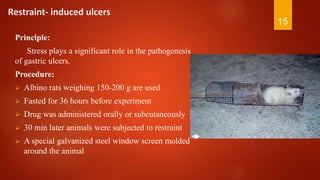 Restraint- induced ulcers
Principle:
Stress plays a significant role in the pathogenesis
of gastric ulcers.
Procedure:
 Albino rats weighing 150-200 g are used
 Fasted for 36 hours before experiment
 Drug was administered orally or subcutaneously
 30 min later animals were subjected to restraint
 A special galvanized steel window screen molded
around the animal
15
 