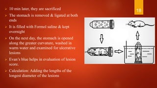  10 min later, they are sacrificed
 The stomach is removed & ligated at both
ends
 It is filled with Formol saline & kept
overnight
 On the next day, the stomach is opened
along the greater curvature, washed in
warm water and examined for ulcerative
lesions
 Evan’s blue helps in evaluation of lesion
score.
 Calculation: Adding the lengths of the
longest diameter of the lesions
18
 