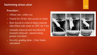 Swimming stress ulcer
Procedure :
 Albino rats ; either sex
 Fasted for 24 hrs; free access to water
 Rats forced to swim in deep concrete
tube filled with water at 230C for 5 hrs
 Animals removed and Sacrificed &
stomach removed ; opened along
greater curvature
 Severity grading done ; Ulcer Index
calculated
19
 