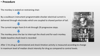 Screening models diuretics and analgesics