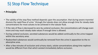 Screening models diuretics and analgesics