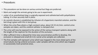 Screening models diuretics and analgesics