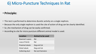 Screening models diuretics and analgesics