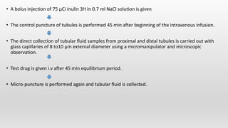 Screening models diuretics and analgesics