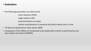Screening models diuretics and analgesics