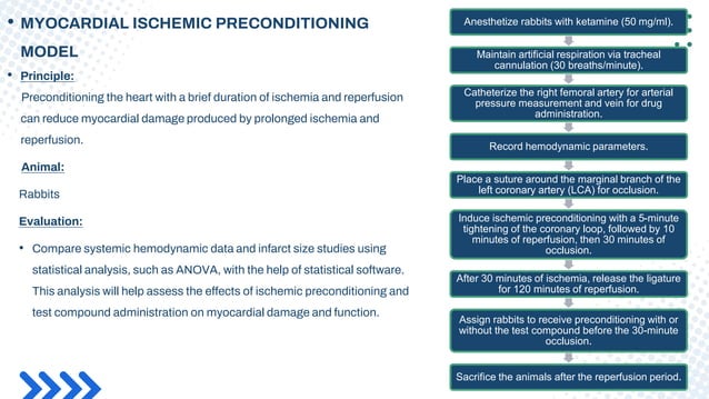 SCREENING MODELS FOR ANTI-ARRTHMICS AND ANTI-ANGINAL AGENTS.pptx